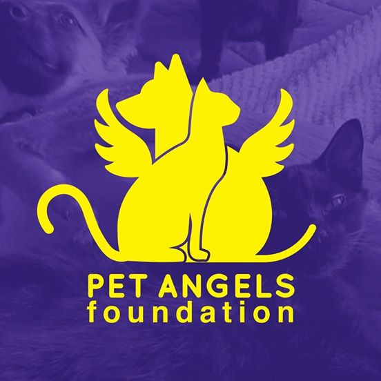 Logo Pet Angels