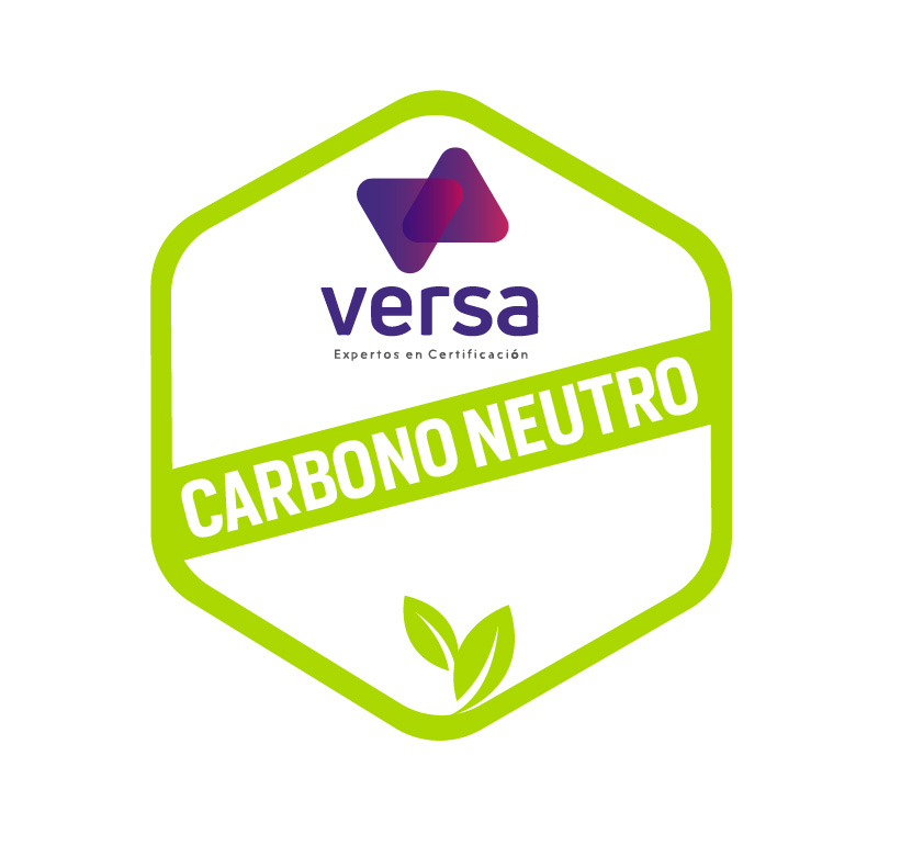 Logo Versa