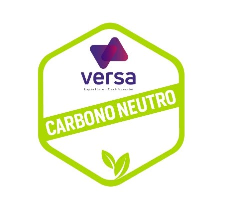 Logo Versa