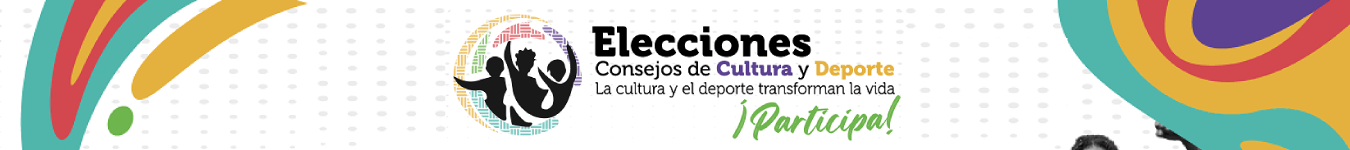 Banner de elecciones DRAFE