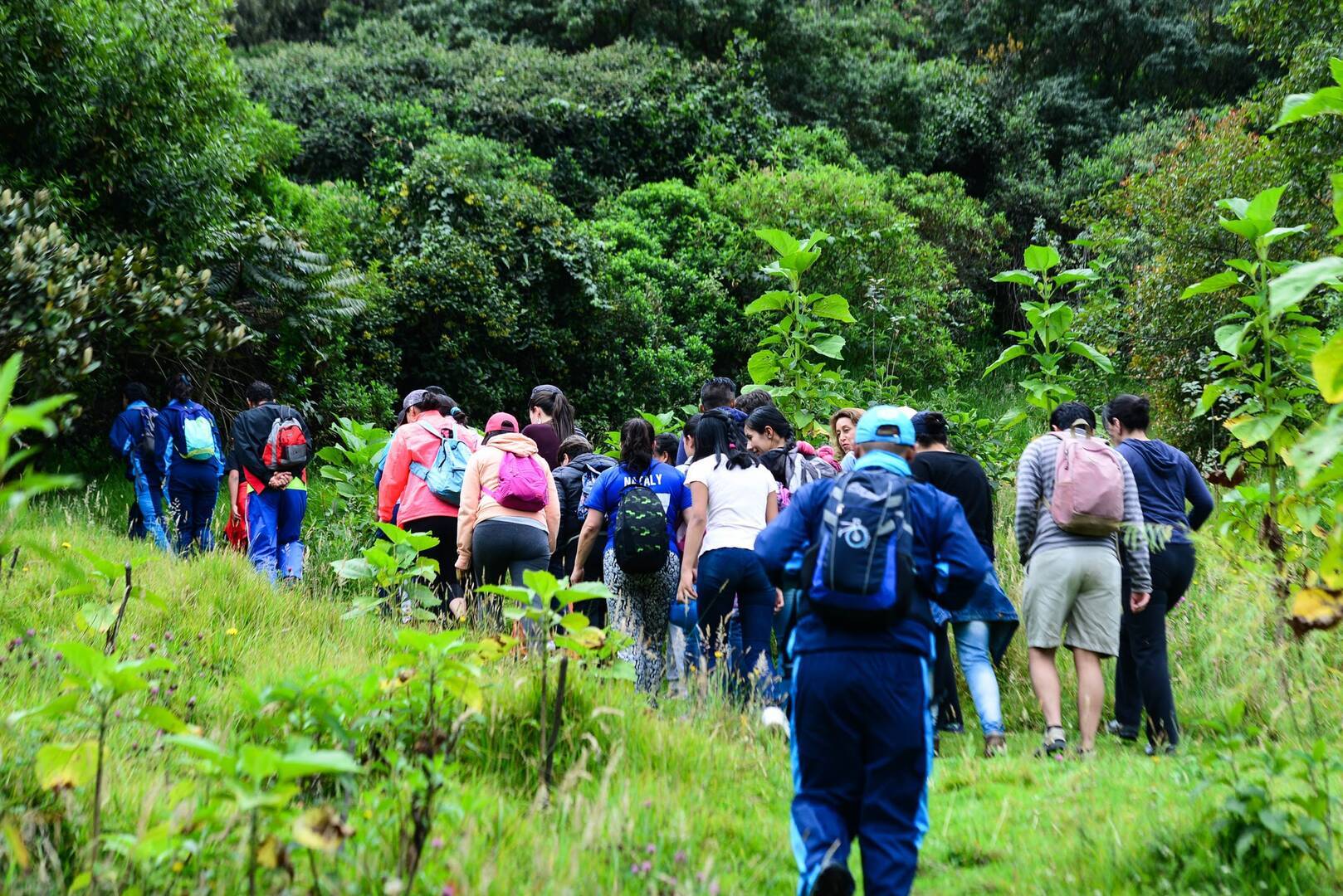 Caminata ecológica