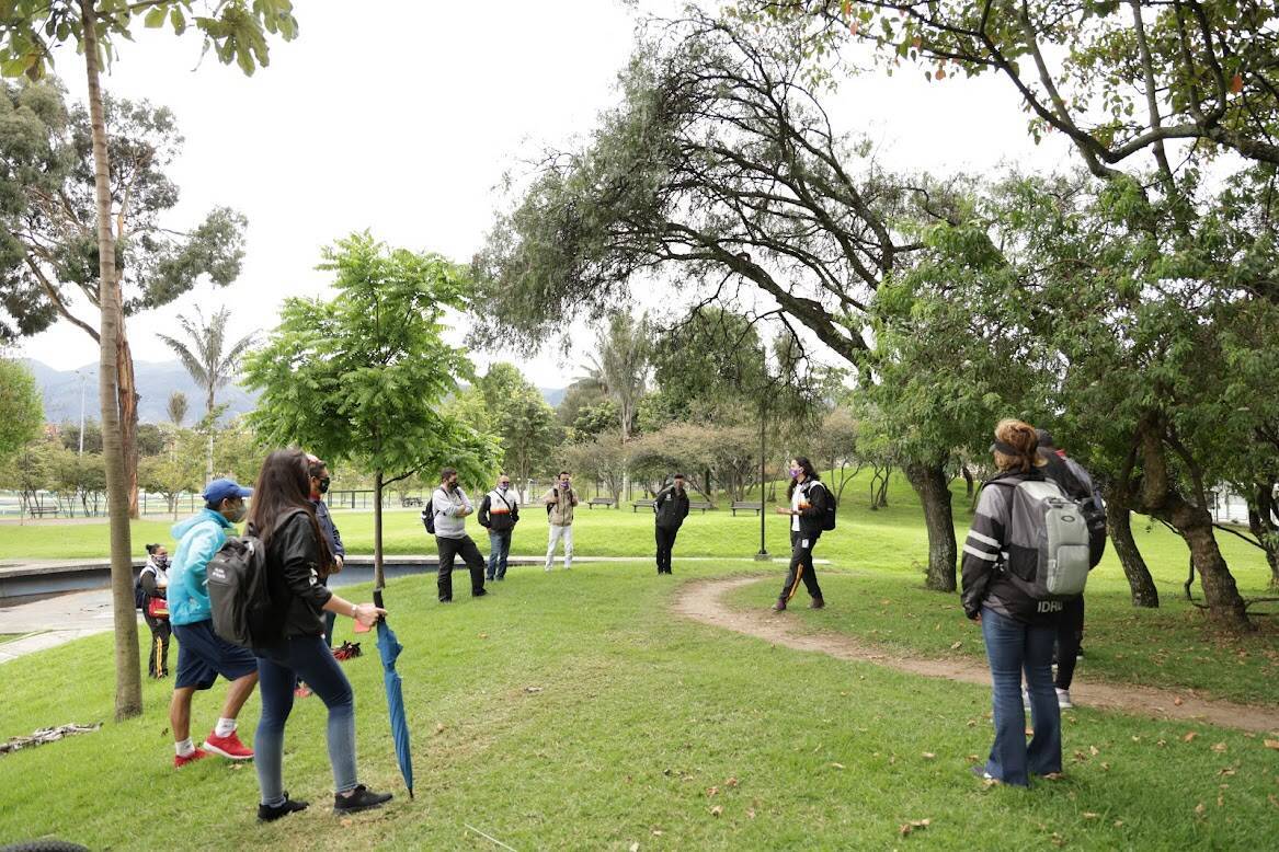 Caminata en un parque