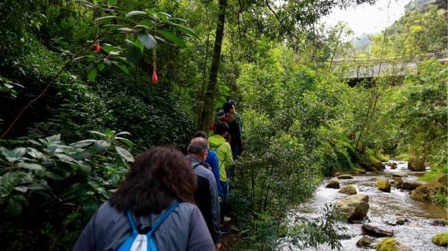 Personas en el bosque