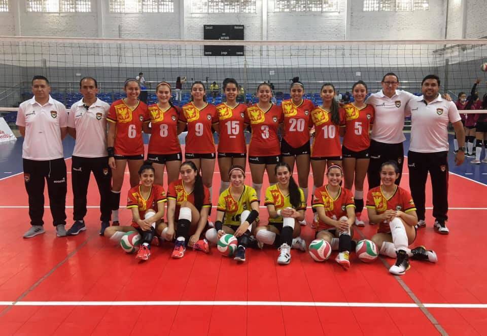 formación de equipo de voleibol