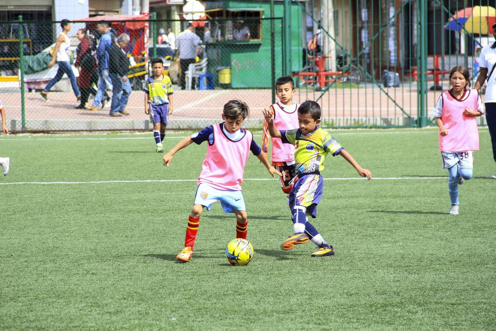 Escuelas avaladas | IDRD - Instituto Distrital de Recreación y Deporte