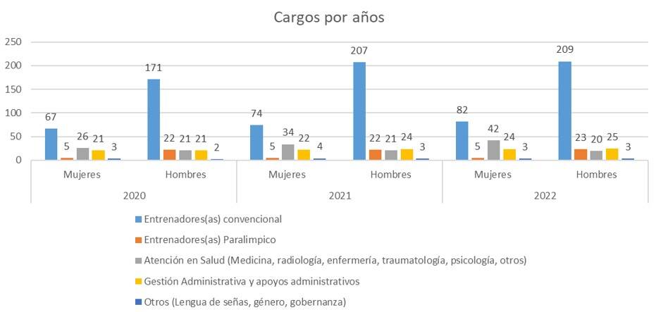 Grafica Cargos por años