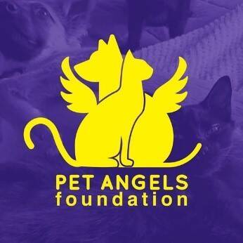 Pet Angels