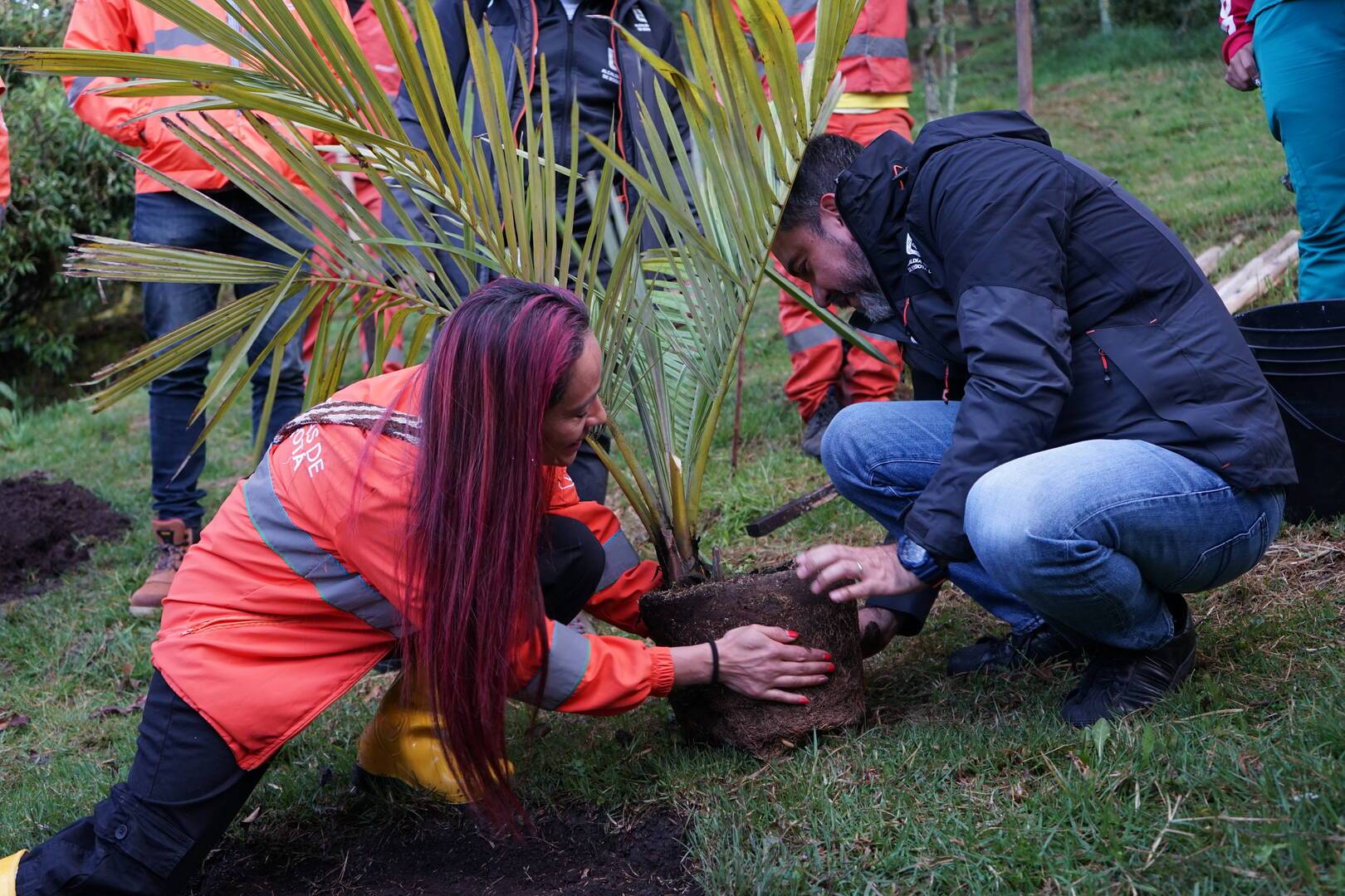 Siembra de arboles en el sendero de Monserrate