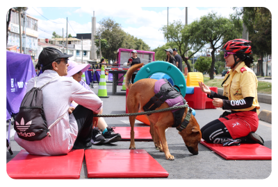 Punto de bienestar animal en Ciclovía