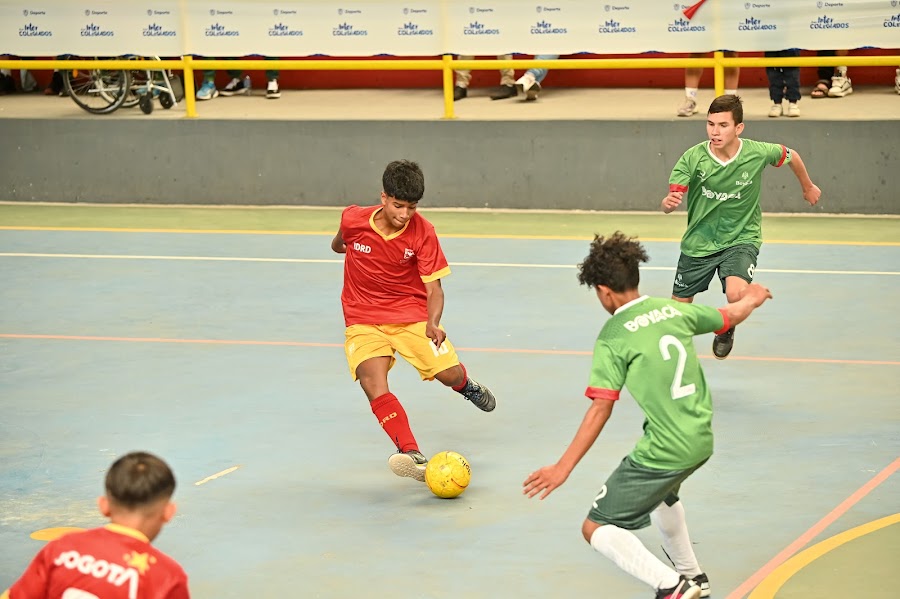 Prejuvenil Masculino