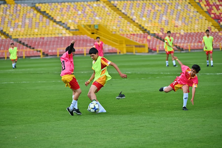 Prejuvenil Masculino