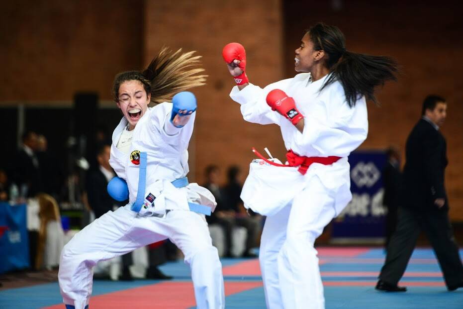 Interligas de karate