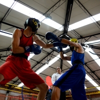 Boxeo