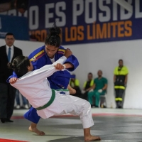 Campeonatos Nacionales de Judo