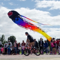 Festival de Cometas