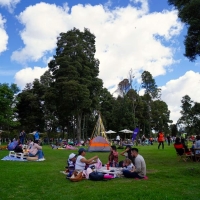 Festival Gastronómico