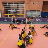 Voleibol sentado