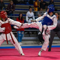 XV Copa Internacional Ciudad de Bogotá