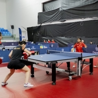 Tenis de mesa