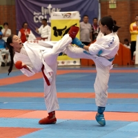 Karate do