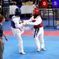 Taekwondo