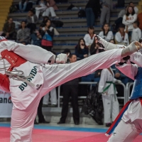 TAEKWONDO