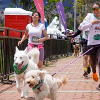 Carrera Canicross