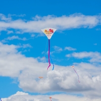 festival de cometas