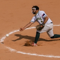 Softbol