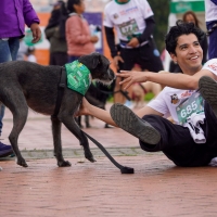 actividad CON MASCOTAS