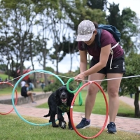 Recreación con mascotas