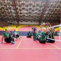 Voleibol sentado