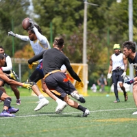 II Festival DISTRITO A