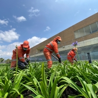 Operativo integral de aseo y mantenimiento en parques