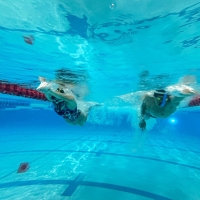 Natación con aletas en CEFE Tunal