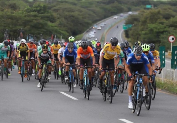 grupo de ciclistas en la vía