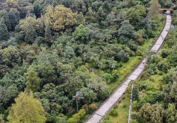 sendero de parque
