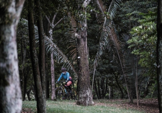 ciclista en bicicleta 