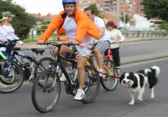 Persona en bicicleta lleva su perro en ciclovía