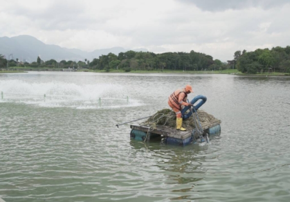 Lago del parque Simón Bolívar