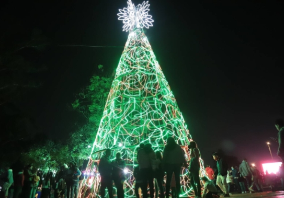 Arbol de navidad en un parque encendido