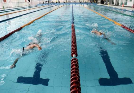 Dos nadadores en una piscina olímpica 