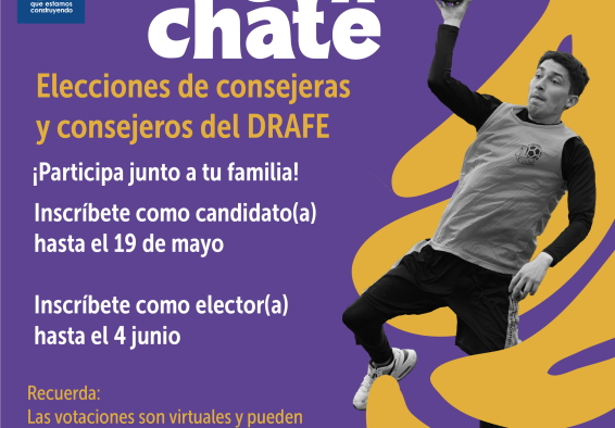 Elecciones DRAFE