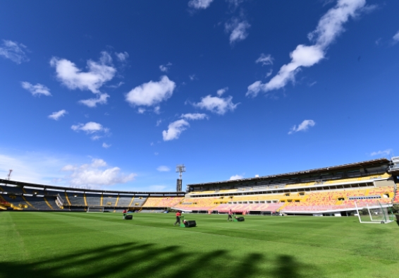 Gramilla Estadio El Campín