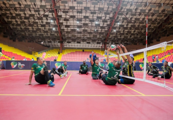 Voleibol sentado