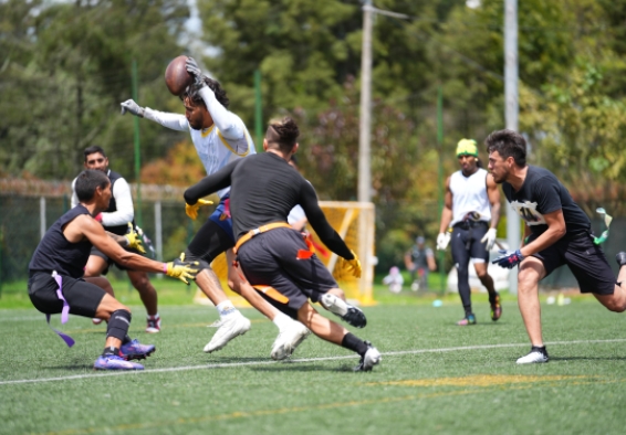 II Festival DISTRITO A