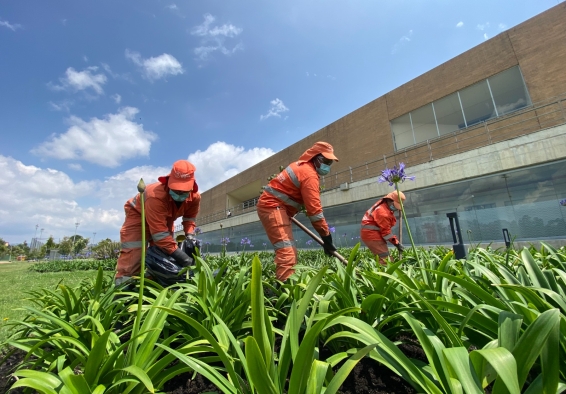 Operativo integral de aseo y mantenimiento en parques