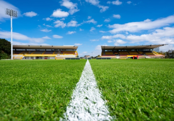 Estadio Metropolitano de Techo