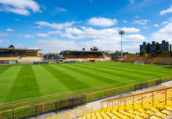 Estadio de Techo