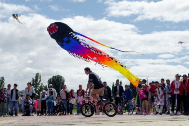 Festival de Cometas